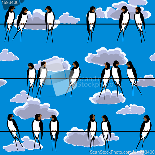 Image of swallows perched on a wire seamless
