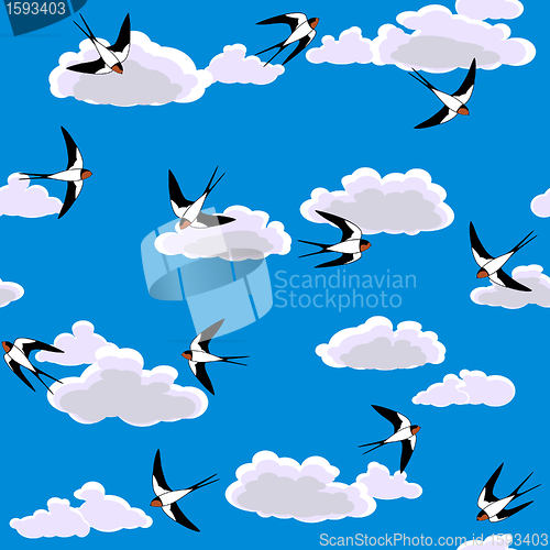Image of swallow flying to sky seamless