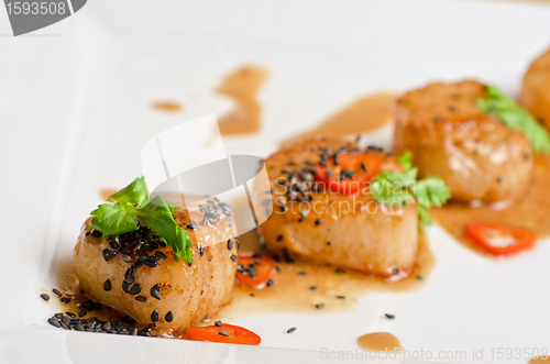 Image of Scallop