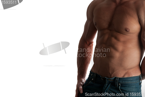 Image of bodybuilder