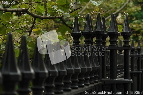 Image of OLd wrought iron fence