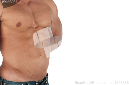 Image of bodybuilder