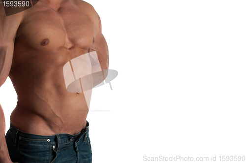 Image of bodybuilder