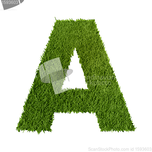 Image of Green grass letter A