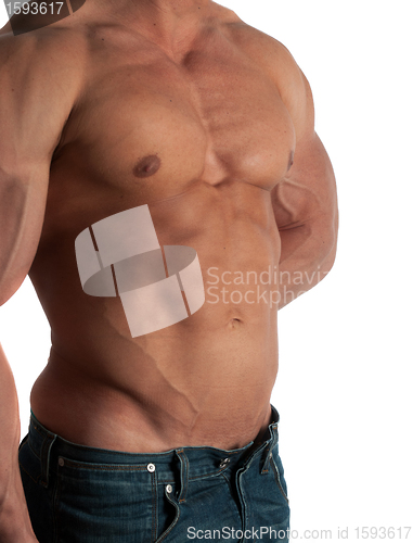 Image of bodybuilder