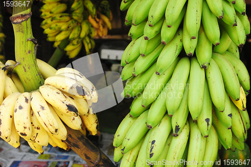 Image of Banana