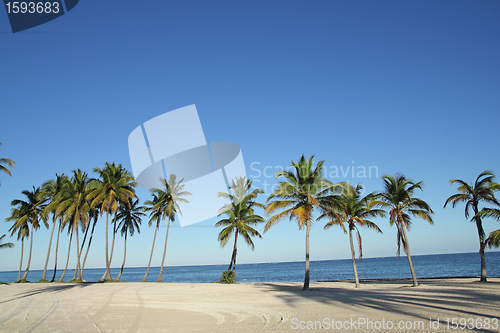 Image of large beach