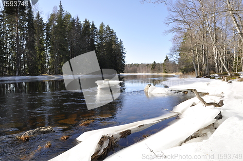 Image of River landscape