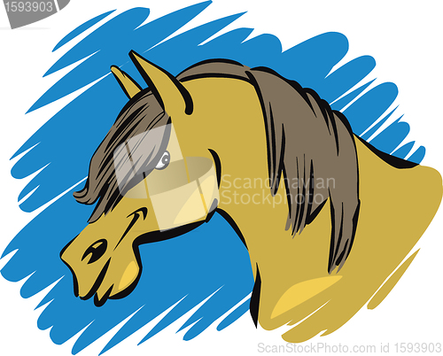 Image of funny horse