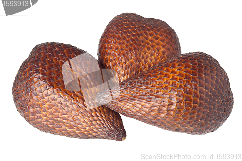 Image of Tropical fruit - Salak fruit