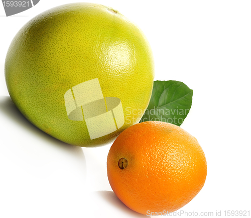 Image of Orange And Pamelo Fruits