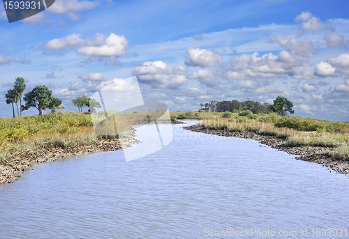 Image of River With Trees And Sky