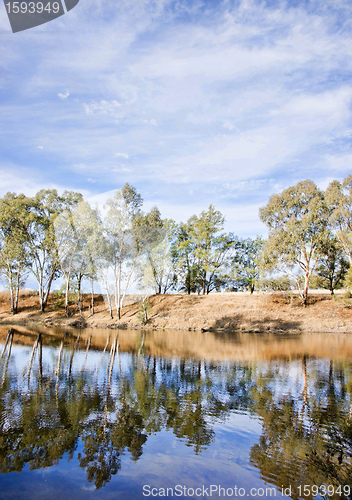 Image of river gum trees reflecting in river