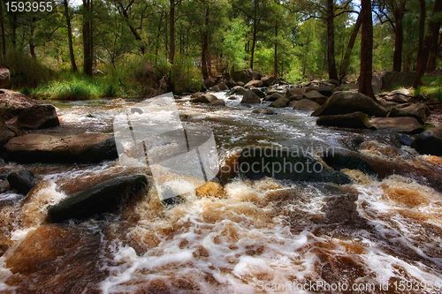 Image of rushing water in river