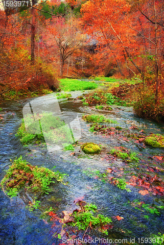 Image of autumn spring in missouri