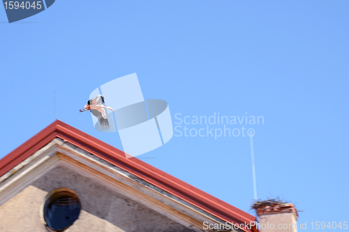 Image of flying stork fly to nest on chimney building roof 