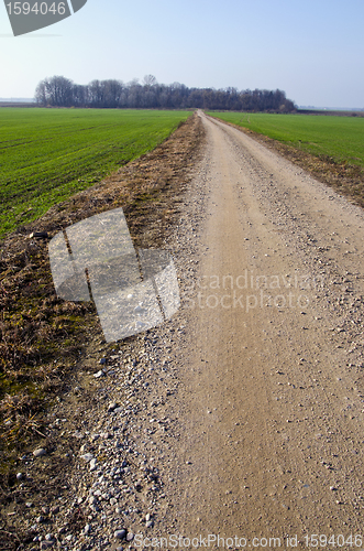Image of rural gravel road between agricultural fields 