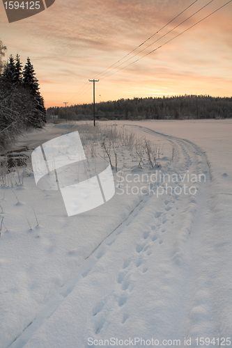 Image of Snowy landscape