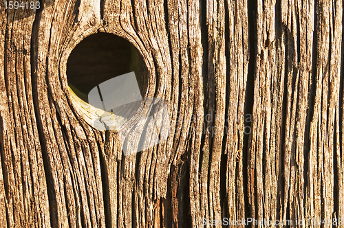 Image of knothole