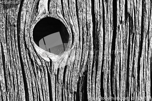 Image of knothole