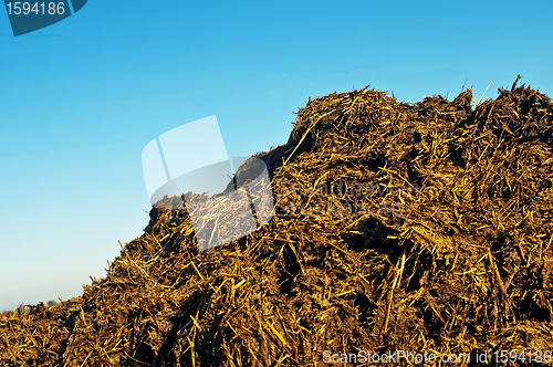 Image of dung hill