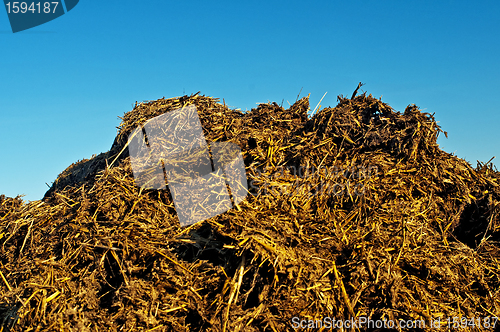 Image of dung hill