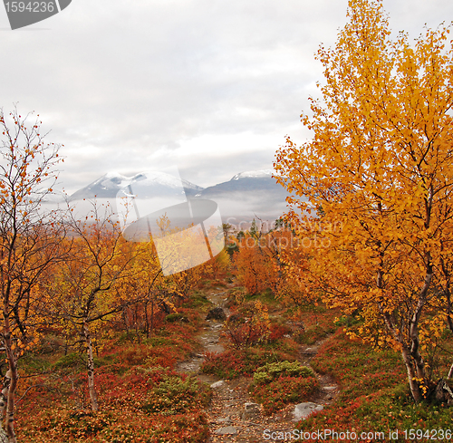 Image of Abisko national-park