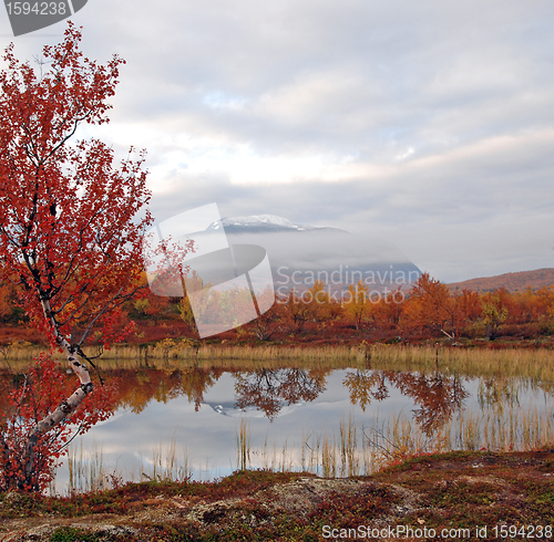 Image of Abisko national-park