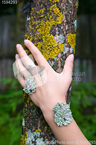 Image of lichen on the hand