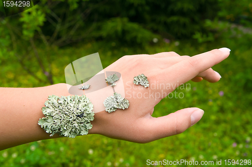 Image of lichen on the hand