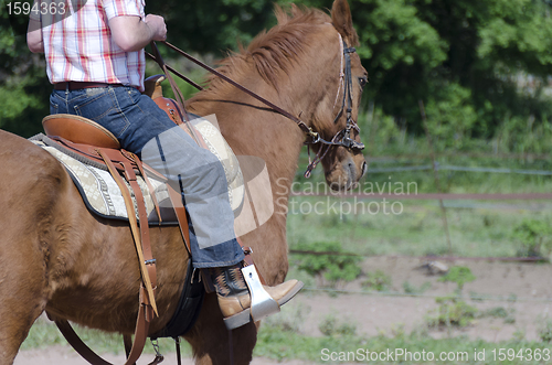 Image of walking horse ridden