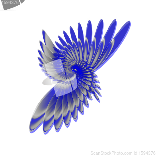 Image of spiral feathers