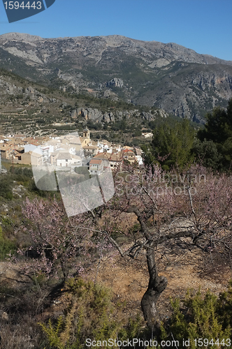 Image of Confrides village