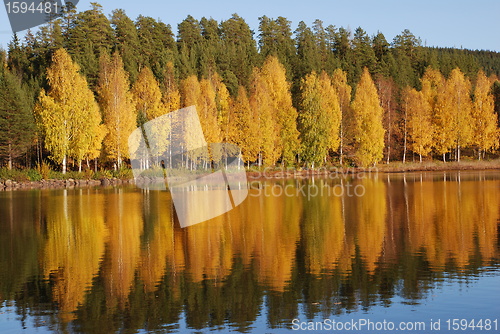 Image of Lake landscape
