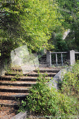 Image of Steps in the Old Park