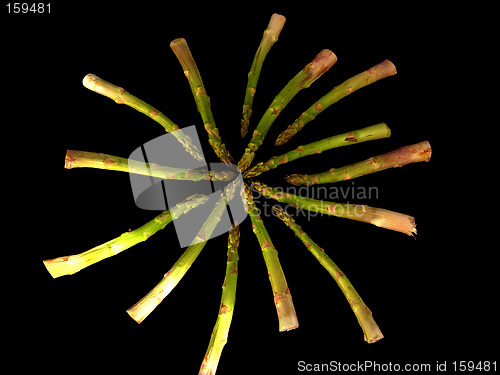 Image of Asparagus Vortex