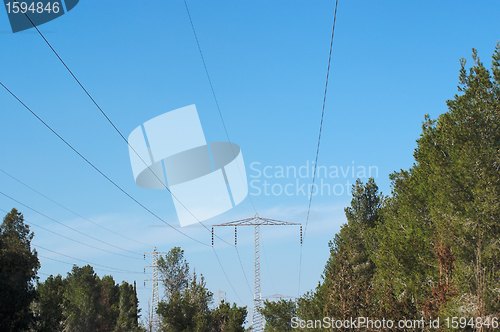 Image of Overhead power transmission line over the pine forest