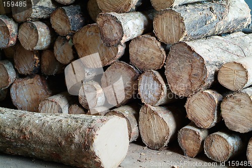 Image of Stacked wooden logs