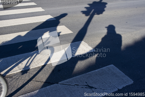 Image of Senior by zebra crossing