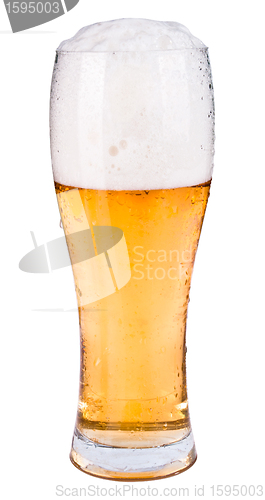 Image of Beer 