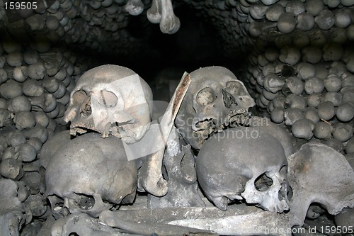 Image of Human skulls and bones 2