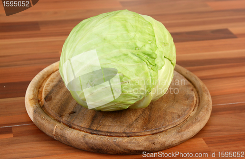 Image of Cabbage on table