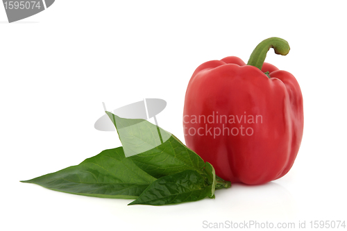 Image of Red Peppers