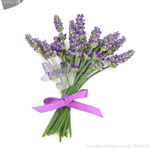 Image of Lavender Herb Flower Posy