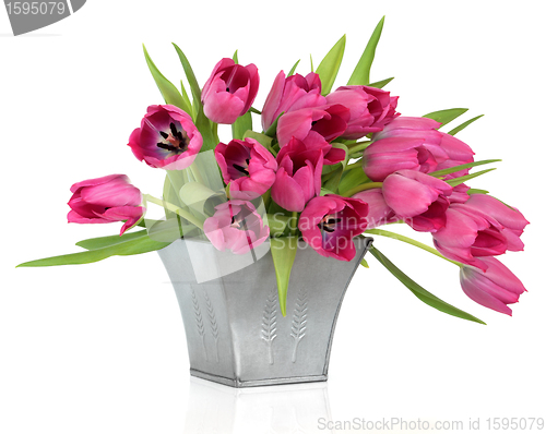 Image of Pink Tulips