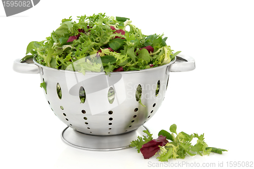 Image of Lettuce Salad Leaves
