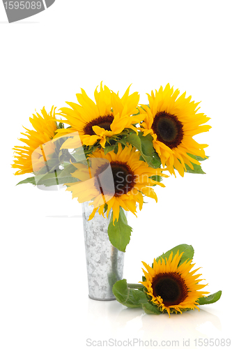 Image of Sunflower Beauty