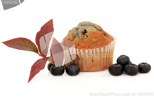 Image of Blueberry Muffin