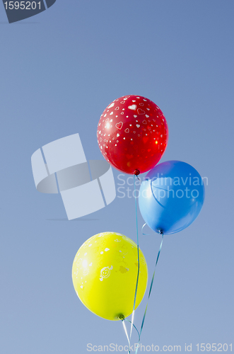 Image of Multicolor balloons tied with strings. 