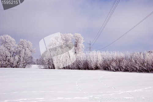 Image of Hoarfrost on the trees and high voltage line.